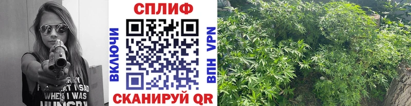 гидра как войти Калининск Конопля THC 21%